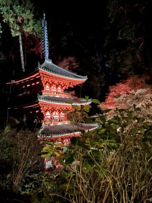 岩船寺夜景
